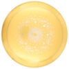 Disc Replay - Kastaplast Lots K1 hard - Joseph Anderson Tour Series
