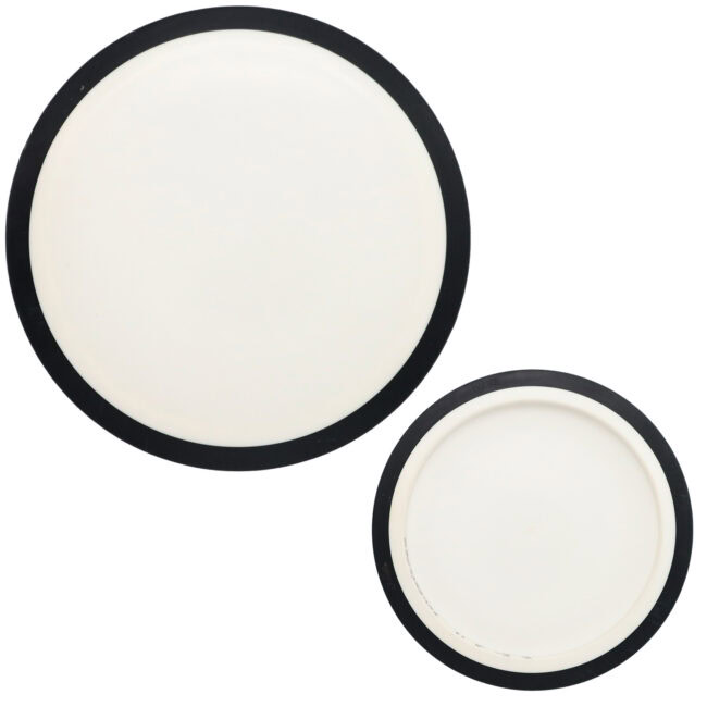 Disc replay - MVP Neutron Wave