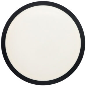 Disc replay - MVP Neutron Wave